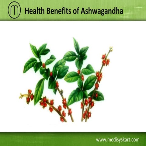 Health Benefits of Ashwagandha