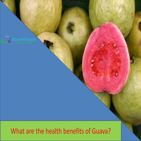 Top 15 Health benefits of guava that you should know