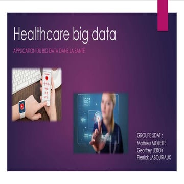 Healthcare big data