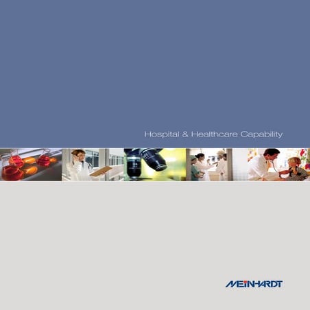 Health Care Capability 2010 Final Small