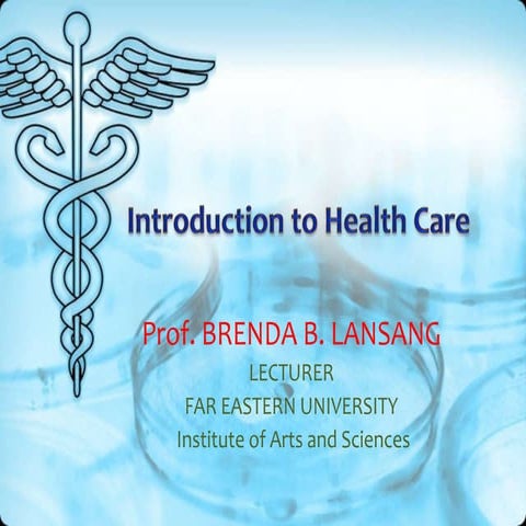 Health care intro. blansang.revised