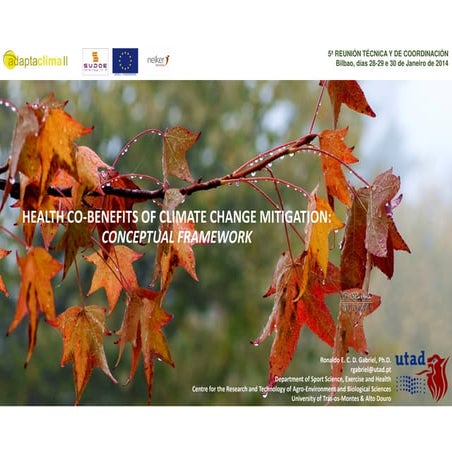 Health co benefits of climate change mitigation | PDF