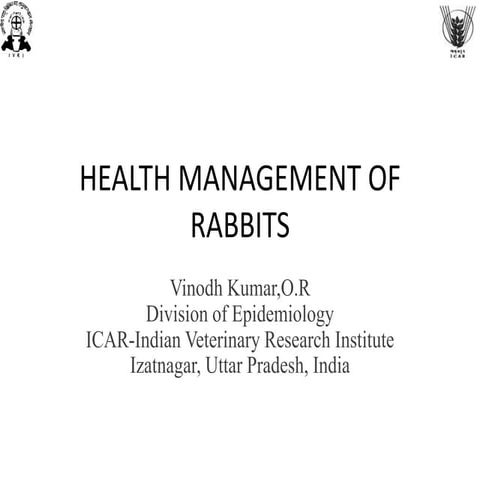Health management of rabbits