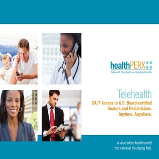 healthPERX Telehealth Brochure (2014)