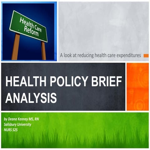 Health policy brief powerpoint final  2013