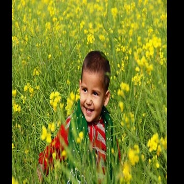 Health programs in Bangladesh