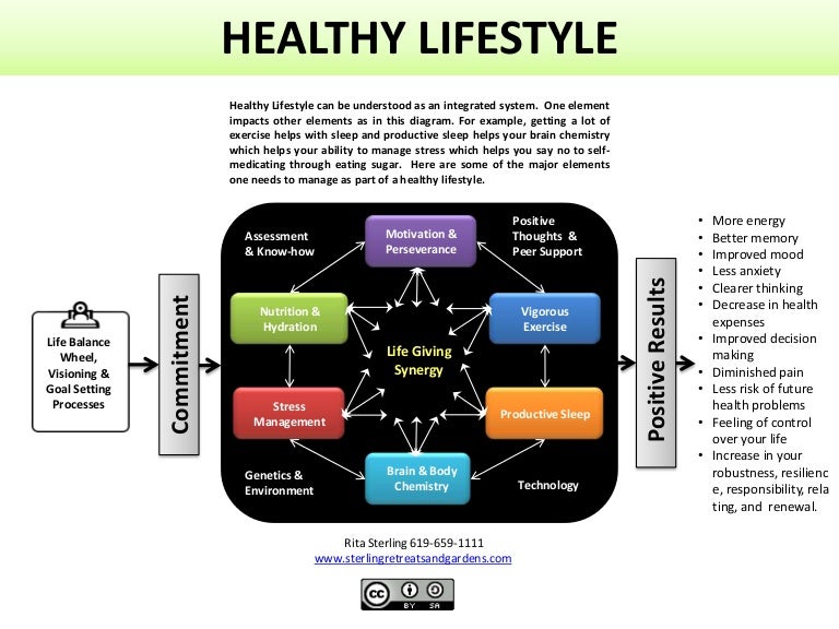 Healthy lifestylemodel