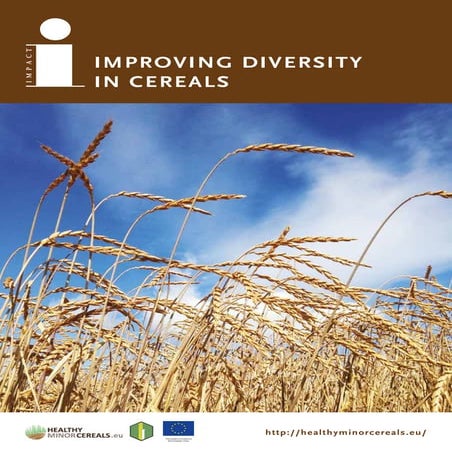 Healthy minor-cereals impactpublication-brochure