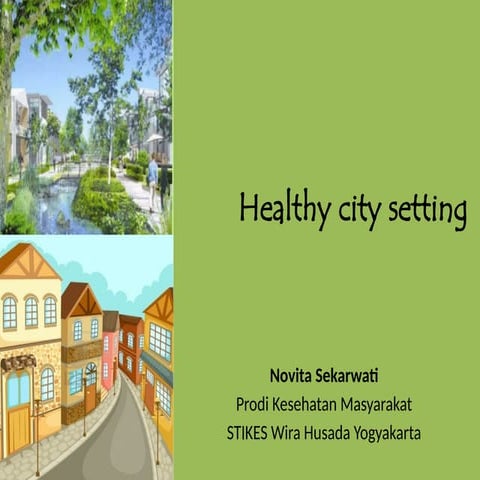 Comprehensive Guide to Building and Sustaining Healthy Cities for Urban ...