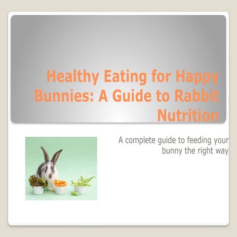 Healthy Diet for Rabbits: The Ultimate Guide to Rabbit Nutrition.pptx - Tips For A Happy Healthy House Rabbit