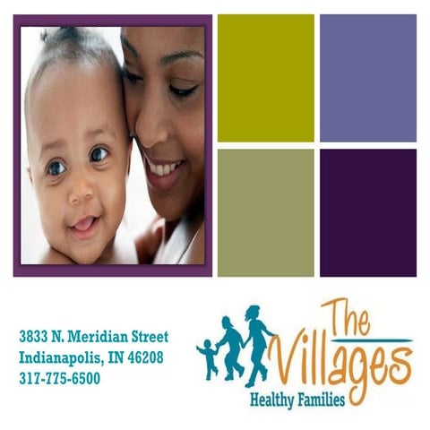 Healthy Families Presentation for Community Partner