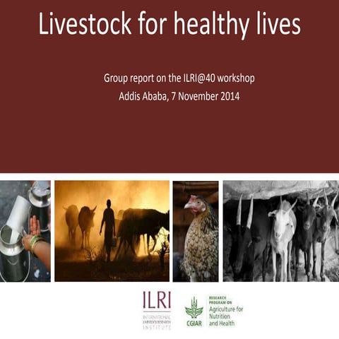 Livestock for healthy lives: Group report on the ILRI@40 workshop, Addis Abab...