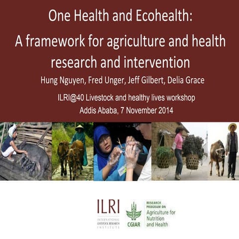 One Health and Ecohealth: A framework for agriculture and health research and...