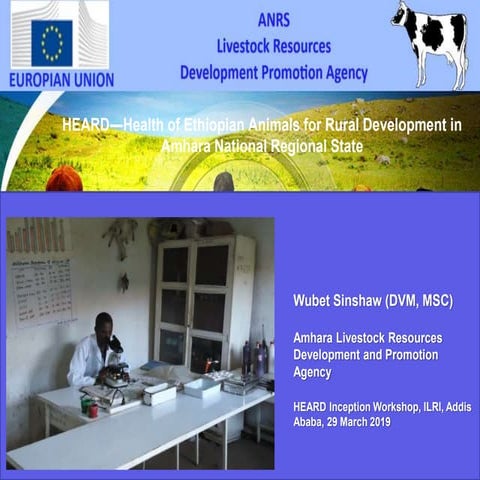 HEARD―Health of Ethiopian Animals for Rural Development in Amhara National Re...
