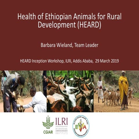 Health of Ethiopian Animals for Rural Development (HEARD)