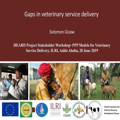 Gaps in veterinary service delivery