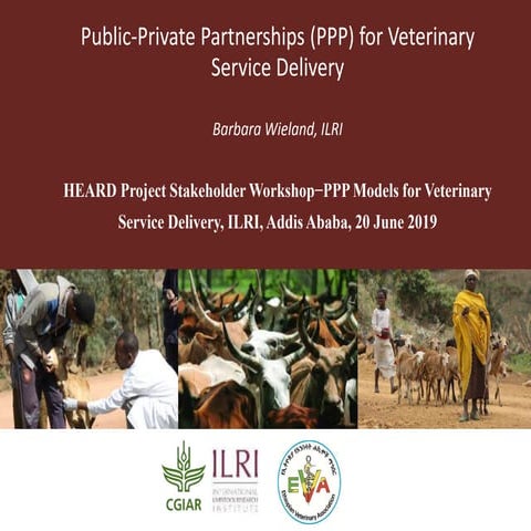 Public-Private Partnerships (PPP) for Veterinary Service Delivery 