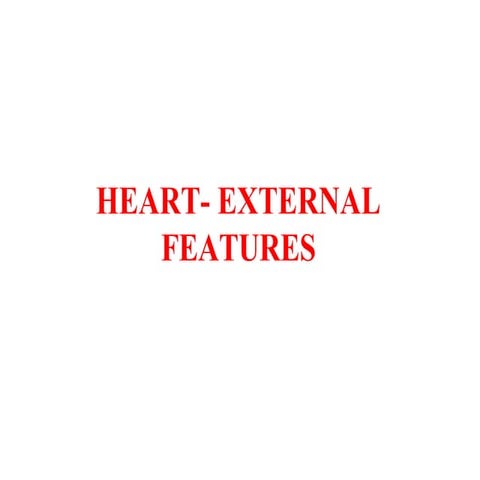 Heart - External Features , Chambers copy.pptx