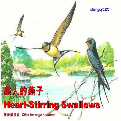 感人的燕子 (Heart Stirring Swallows)