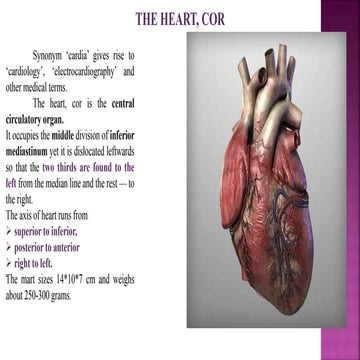 Heart 10-2 (1).ppt