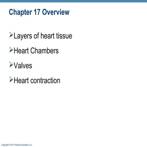 3 internal features of the heart | PPTX
