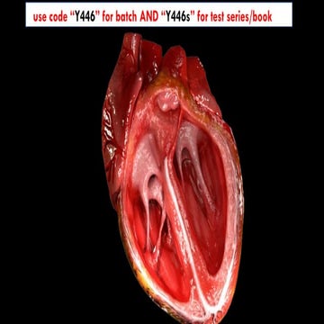 Hearth SSC ppt for Competitive exam heart (4).pptx