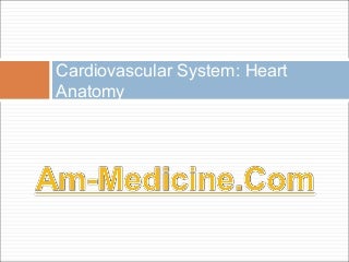 'heart anatomy' on SlideShare