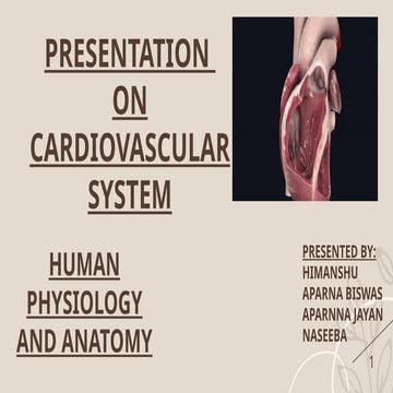 Heart Anatomy and Physiology BY HIMANSHU.pptx