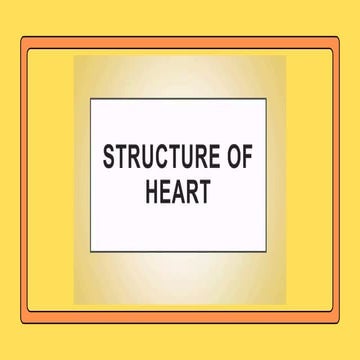 Comprehensive Overview of the Human Heart: Structure, Function, and ...