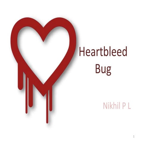 Heartbleed Bug