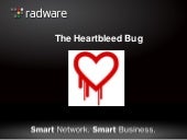 The Heartbleed Bug