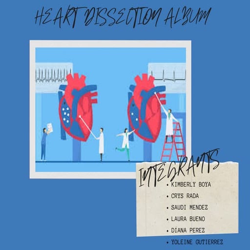 Heart disection album | PDF