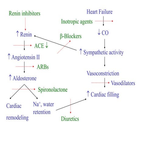 Inotropes | PPTX
