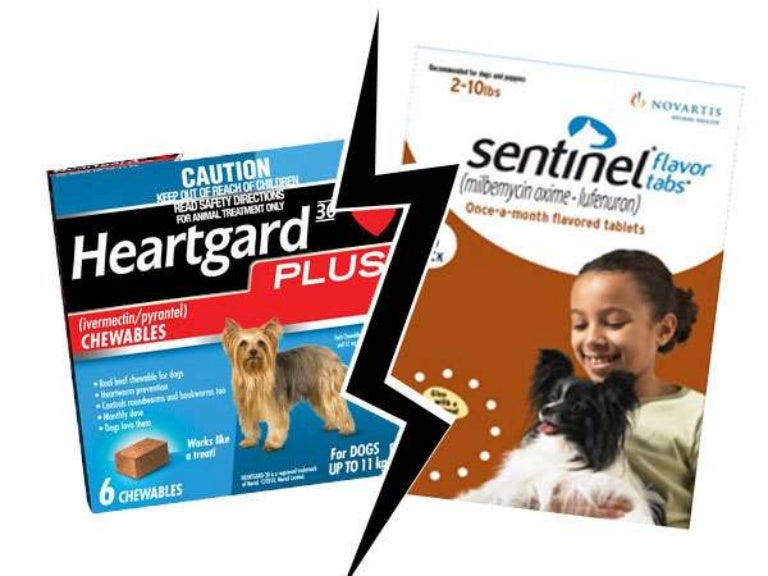 sentinel plus dog