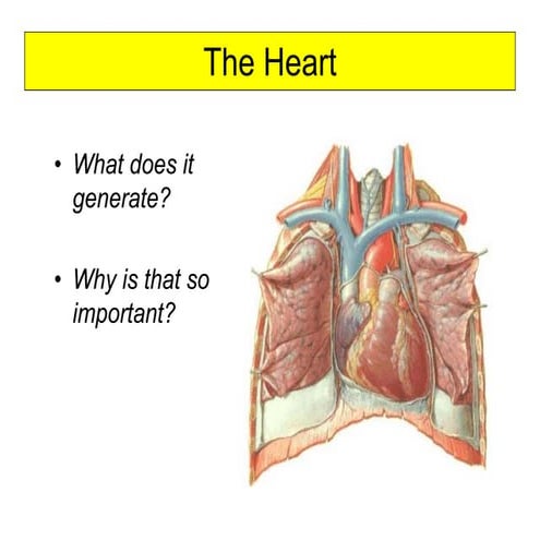 HeartImages.pdf