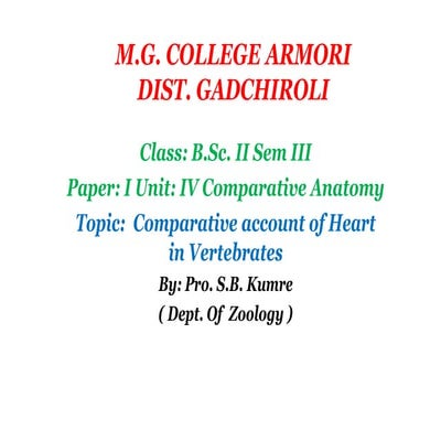 Heart in vertebrates