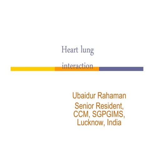 Heart lung interaction