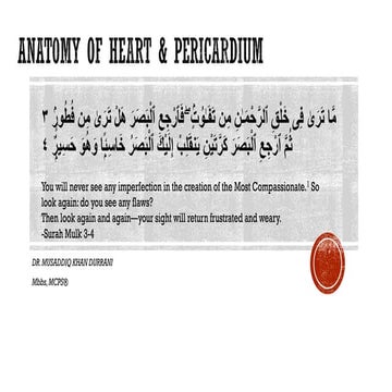 HEART & PERICARDIUM.pdf