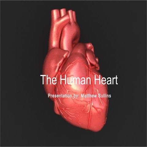 Presentation 2: The Human Heart by Matthew Sullins BIO 120/Spring 2015