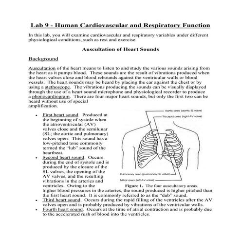 Heart sounds | DOCX