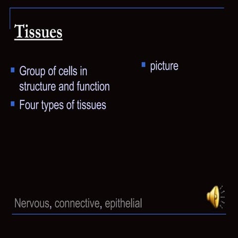 heather tissues project