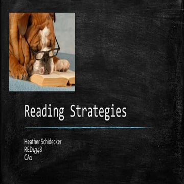 Reading Strategies