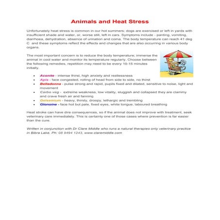 Heat Stress and Animals | PDF