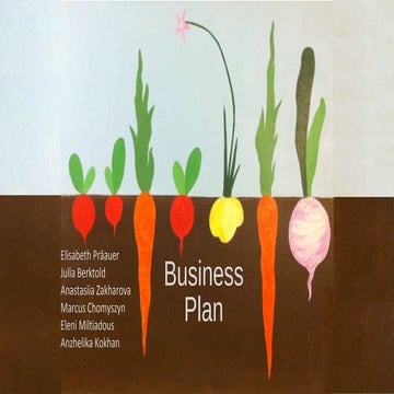 "Heaven on Earth" Business Plan