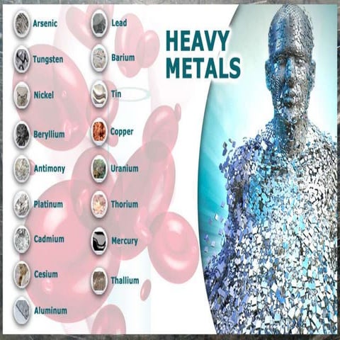 Heavy metal and human health