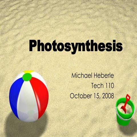 Photosynthesis time!
