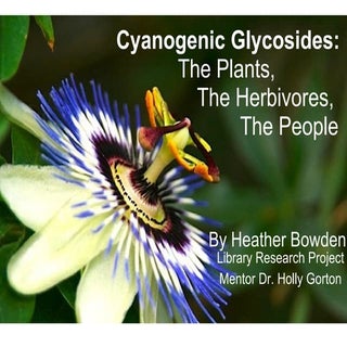 Hebowden Smp Presentation