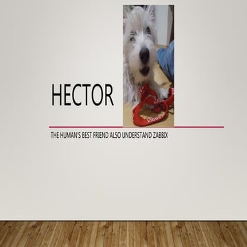 Hector - O melhor amigo do Homem também entende de Zabbix