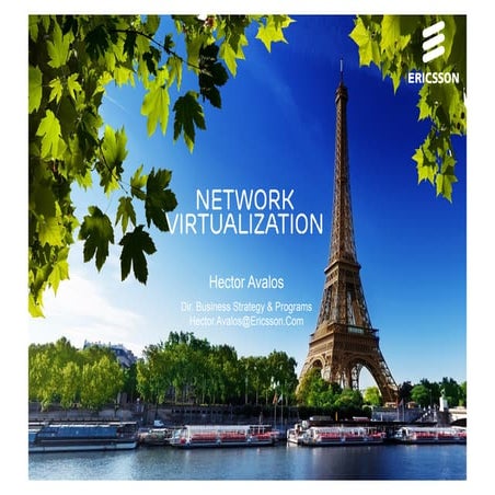 SDN Network virtualization, NFV & MPLS synergies