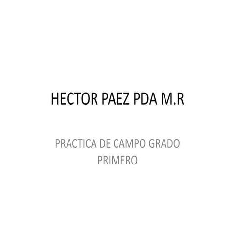 Hector paez pda m